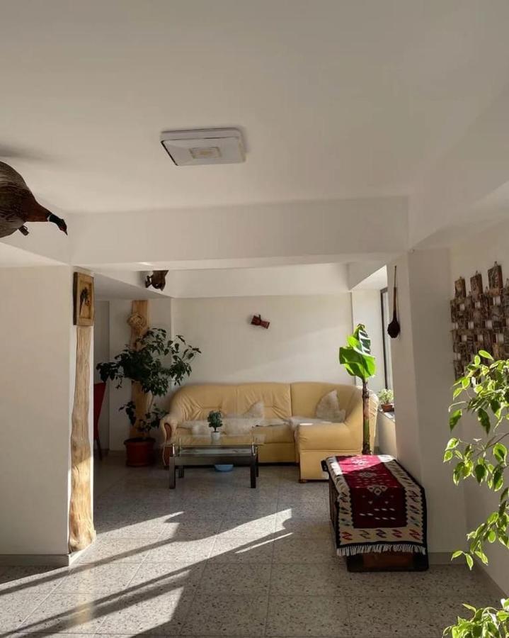 Casa De Vacanta Clara Maria Comarnic Dış mekan fotoğraf