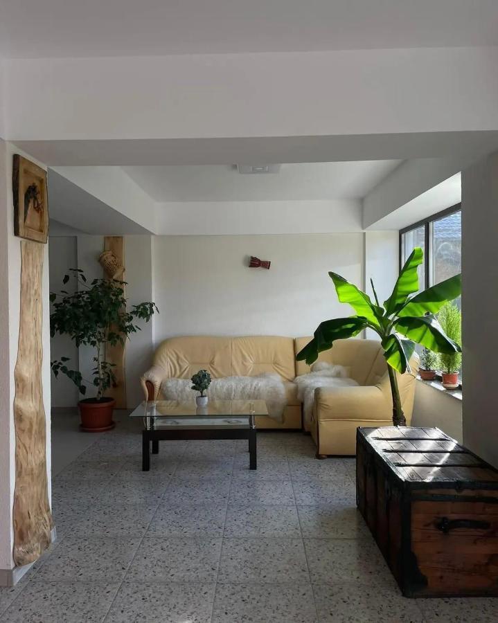 Casa De Vacanta Clara Maria Comarnic Dış mekan fotoğraf